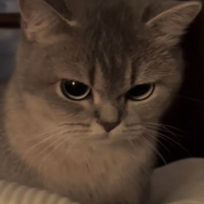 I complain about my life while I cry to a Thai who does not know about my existence