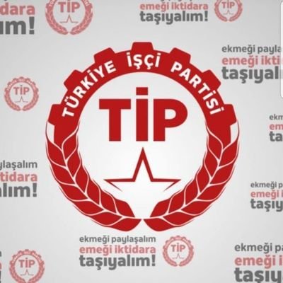 Tip Alanya Gönüllüleri