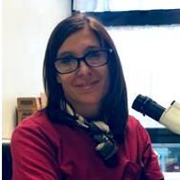 francesca oliviero (@francescao71) 's Twitter Profile Photo