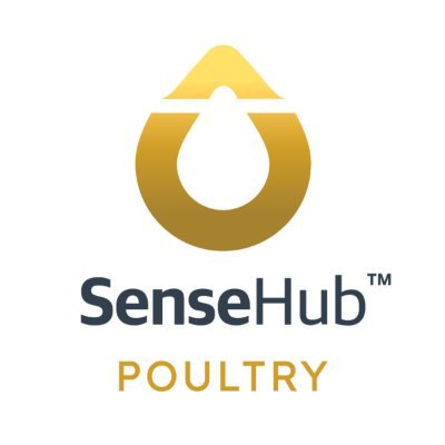 SenseHub Poultry collates real-time data across a range of parameters, which is then analysed and interpreted to improve bird performance, economics and welfare