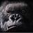 heng_saelaos's profile image