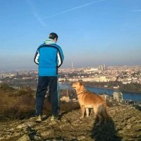 Milan Es (@ptamseproc) Twitter profile photo