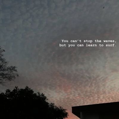 mrknowitall6521's profile picture. Loading