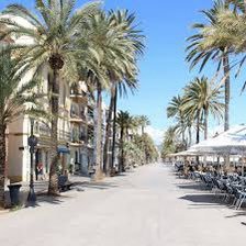 bdn_dora's profile picture. Viajar, comer, pasear, sonreir, vivir, amar, abrazar Me dedico a vivir la vida como me da la gana