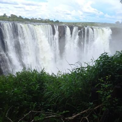 SarahNgorima's profile picture. calm and collected