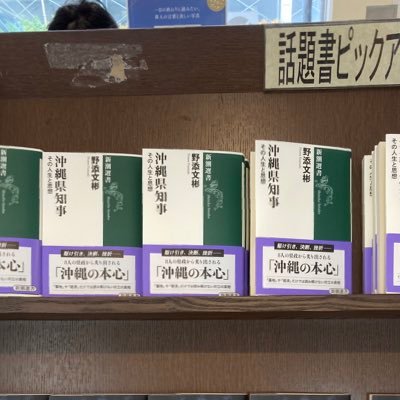 沖縄で日本外交史、国際政治学、基地問題を研究しています。研究や講義でも活かせたらと思ってツイッターを始めました。https://t.co/LCBgk3WSbN