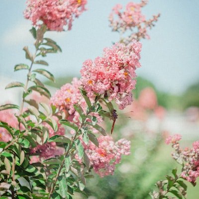 Ryann79830409's profile picture. 