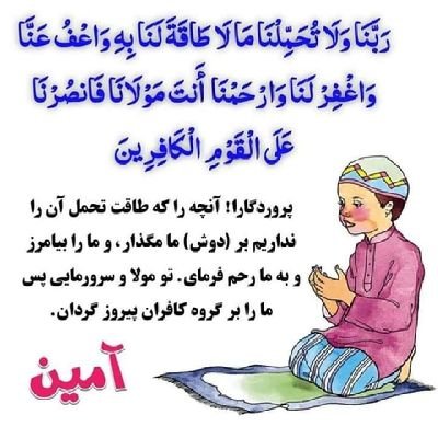 داکتر داوری درولایت بغلان مرکزی درسال ۱۳۶۳دریک خانواده علم پرور وبادانش دیده کشود وی دوره ابتدایه ولیسه را دربغلان مرکزی به اتمام رساند وازپوهنتون طبی بلخ فارغ