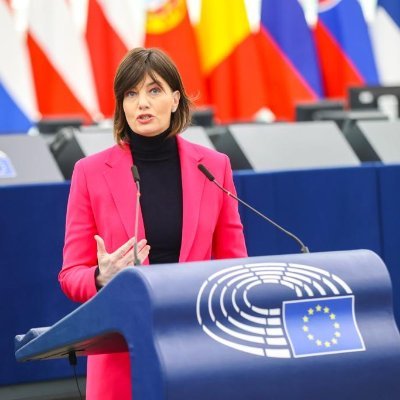 Già Vicepresidente del @EPP
Deputato Parlamento Europeo
Premi: MEP Award mercato interno
Impegno in Ue per le imprese