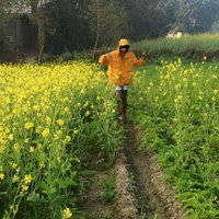 Jhumka (@itsjustpandey) 's Twitter Profile Photo