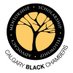 The Calgary Black Chambers (@yycblackchamber) Twitter profile photo The Calgary Black Chambers (@yycblackchamber) Twitter profile photo