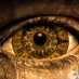The Luminatus (@the_luminatus) Twitter profile photo The Luminatus (@the_luminatus) Twitter profile photo