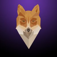 CallTheFox (@callthefox) 's Twitter Profile