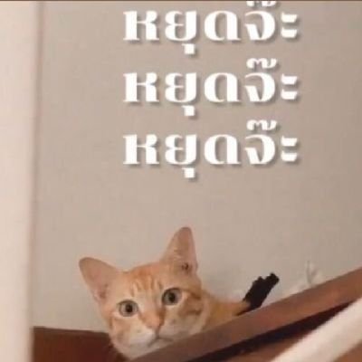 ตาหวานค่ะ🤍😺
#IsTarwaan 
#tarwaanisarapa