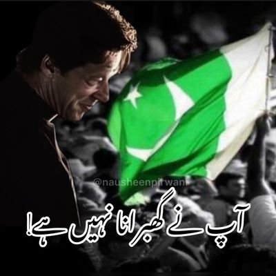 AlishaK35282011's profile picture. 