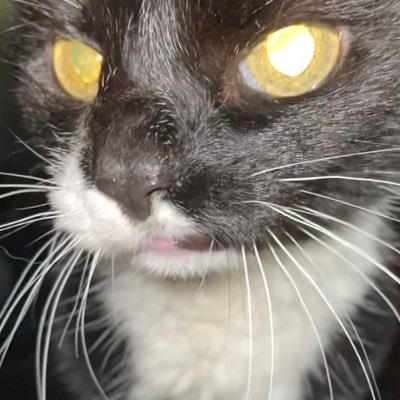 lvnwnx1's profile picture. L