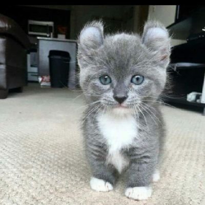 mdog_like's profile picture. 