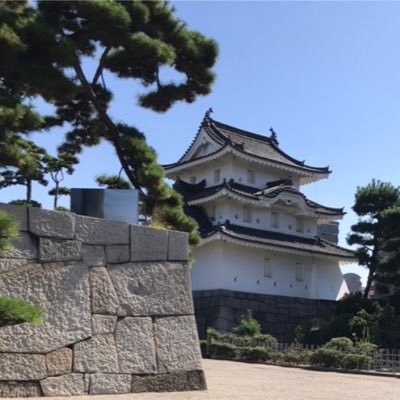 shachiku0130's profile picture. 2023初出場夏は選択労基2点😭2024夏は選択健保2点😭😭で2年連続コールド負け。2025でひとまず合格という悲願達成。中小企業で人事課長（社畜）→合格→脱社畜→独立→叶うべき夢✨の先へ。