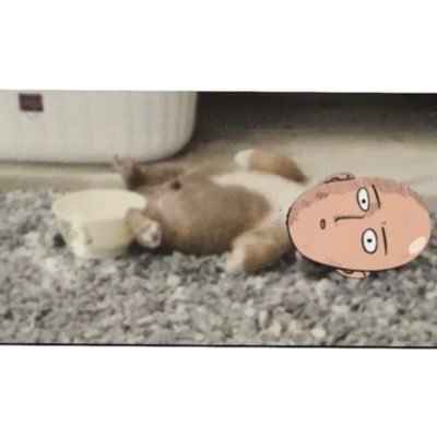 RZUMnhIYi7c4Bxt's profile picture. 大阪😌カラオケ、酒、ゴルフ、スポーツ🐥🐣好き😗定期的にダイエットしようとする🏃‍♂️