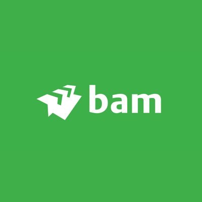 Royal BAM Group Profile