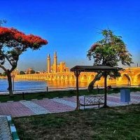 يحي المصري (@yylmry72586303) 's Twitter Profile