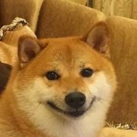 jade (@jadeite58) 's Twitter Profile Photo jade (@jadeite58) 's Twitter Profile Photo