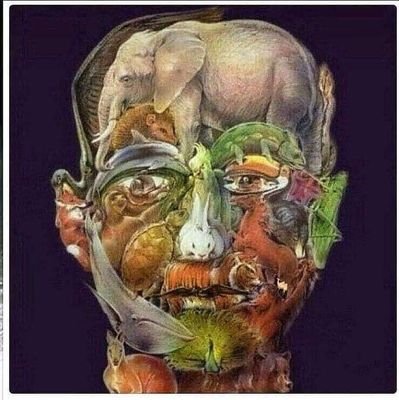 Eduardo10428731's profile picture. .