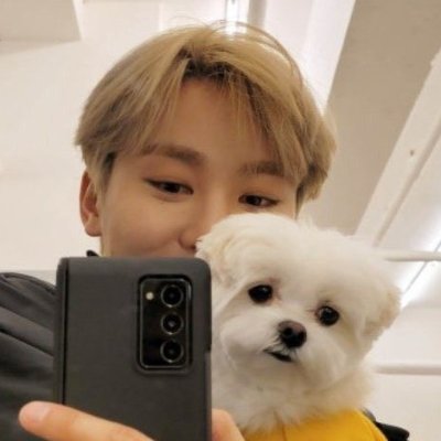 26 — very much shadowbanned on main • Carat 100% • Boo Seungkwan || I'm boogyulandy 👍{fan account}