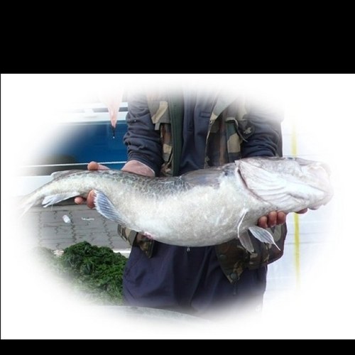 hpp1682's profile picture. 모든 이야기의 시작에 언제나 창원 상남동 남해 생대구탕과 함께하세요.....
늘~~~즐겁고 행복한 추억 많이 만드세요!