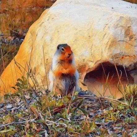 HanojeALT's profile picture. 