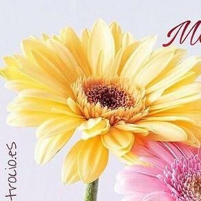 ALIZAPTRI7's profile picture. 