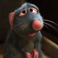 ⁦ الفُار الطبَاخٰ ⁦✪ (@elfar_altba5) 's Twitter Profile