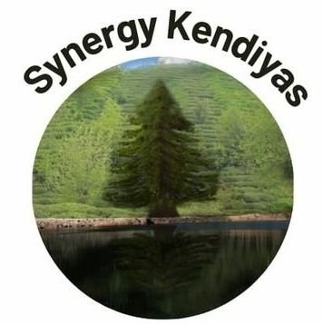 SynergyKendiyas Profile Picture