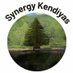Synergy Kendiyas (@SynergyKendiyas) Twitter profile photo
