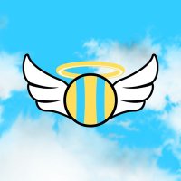 Halo Ball (@haloballsport) 's Twitter Profile