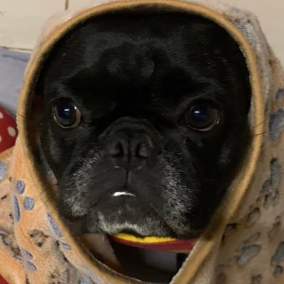 yasumeaww's profile picture. 