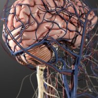 Transcatheter Neurosurgical Technologies Lab (@ucsf_tntlab) 's Twitter Profile