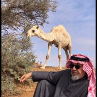 محفوظ الطلحي (@altalhimahfooz) 's Twitter Profile Photo