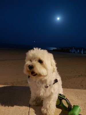 CarmenD11991769's profile picture. 