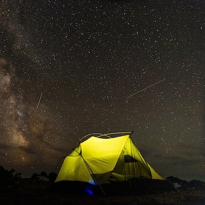 Carlie85912441's profile picture. 