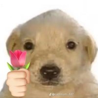 그것은인생 (@rs_ily_k) 's Twitter Profile