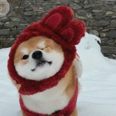 林亦さんのプロフィール画像
