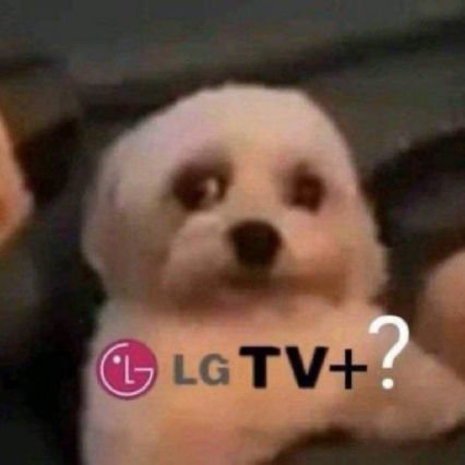 bonk_binkstink's profile picture. 