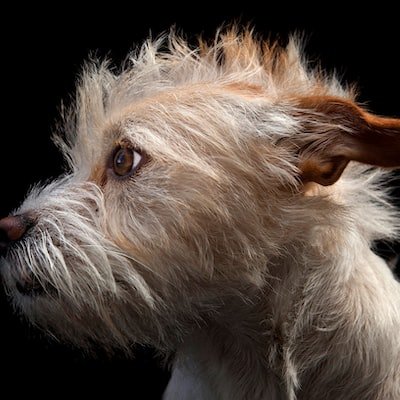 Alexane70820592's profile picture. 