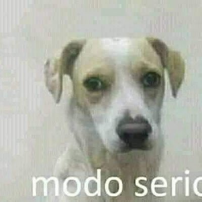 Hackplayer17's profile picture. 