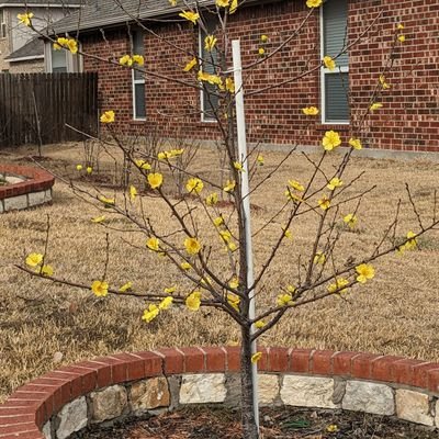 hockeysnail's profile picture. Likes snails. Likes hockey.