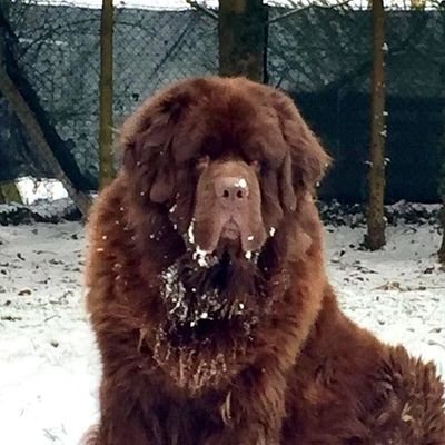 jackyperso's profile picture. 