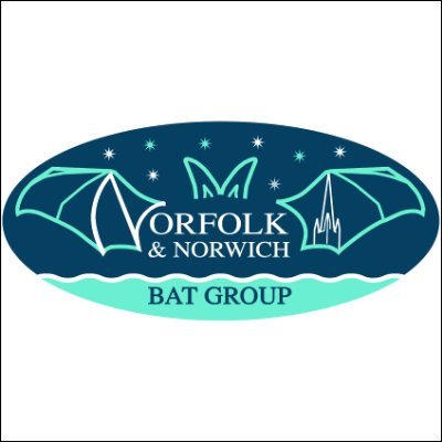 Formed in 2007, we work to help protect, conserve and raise the awareness of bats in Norfolk. Registered Charity Number 1201847.