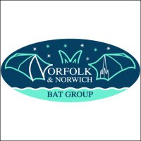 Norfolk & Norwich Bat Group (@norwichbats) 's Twitter Profile Photo