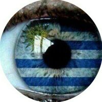 Sem anistia! 🌵 (@lauralucchi) 's Twitter Profile